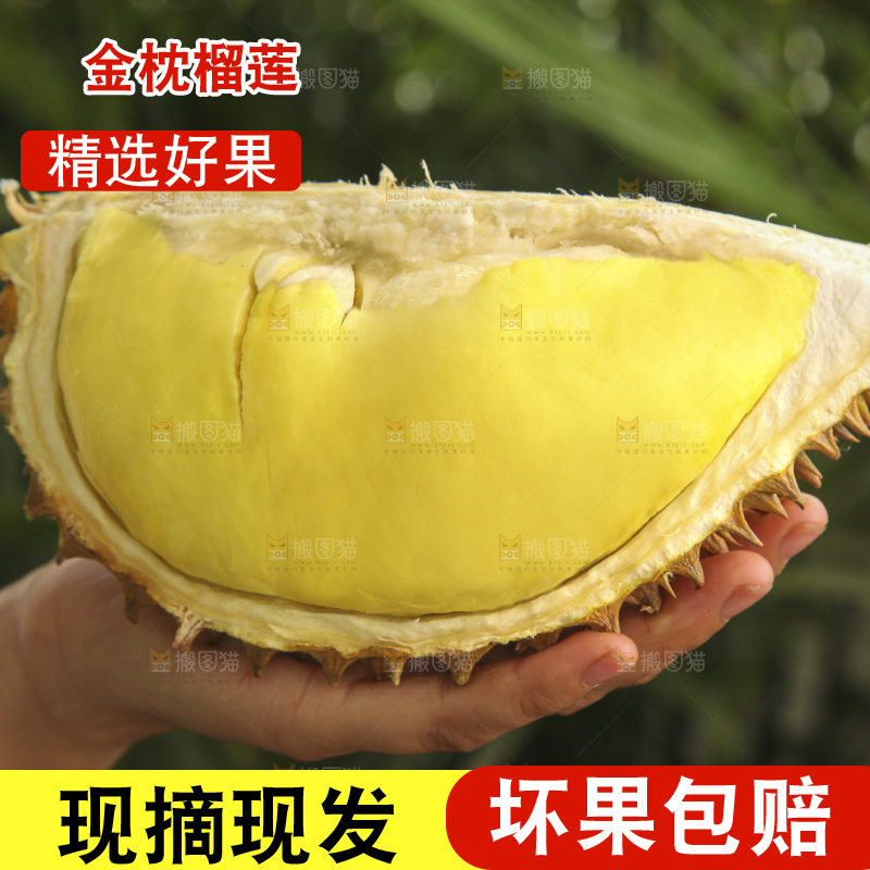 金枕榴莲