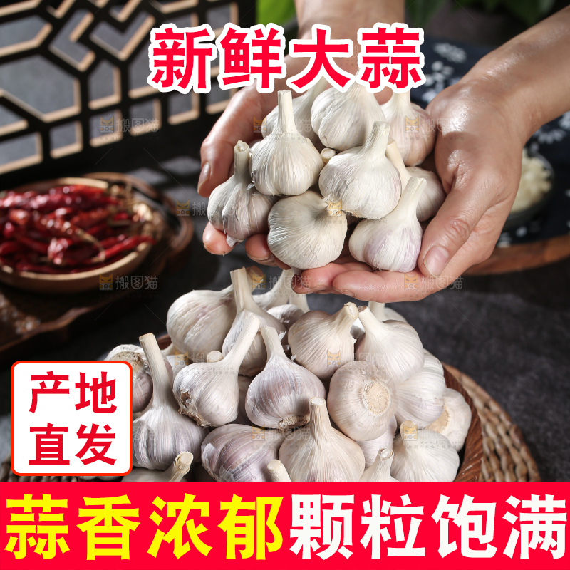 干大蒜