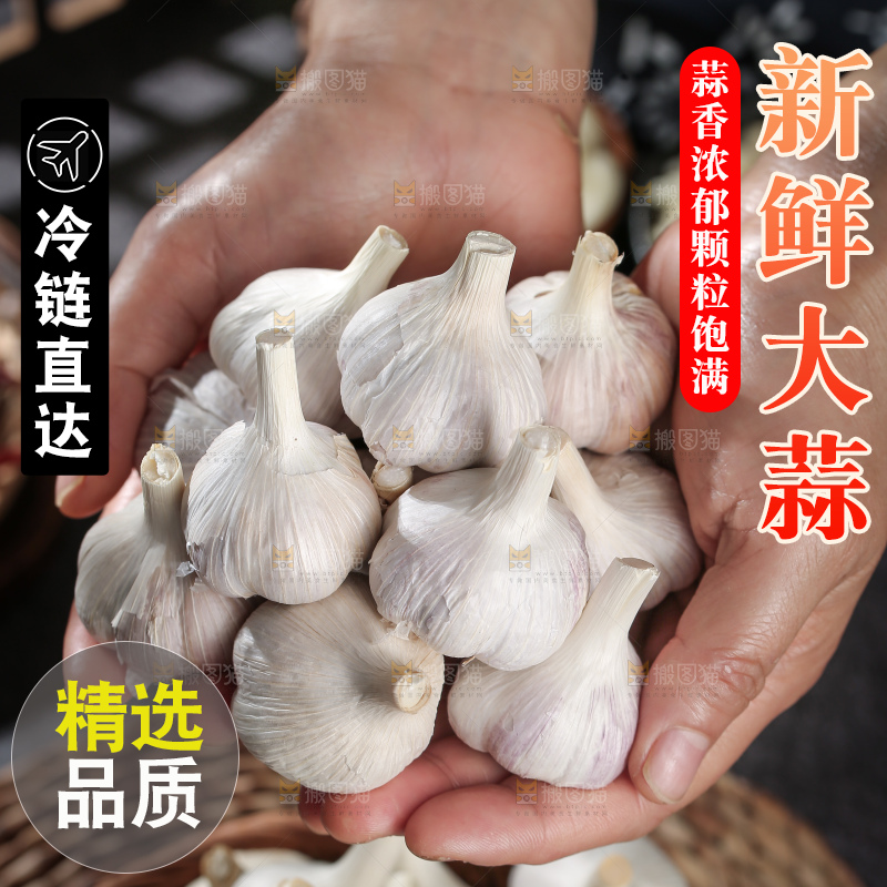 干大蒜