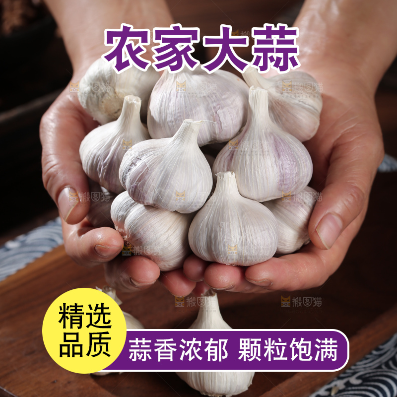 干大蒜