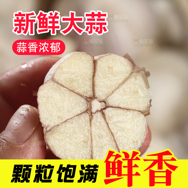 干大蒜