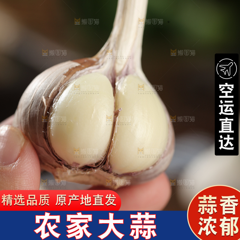 干大蒜