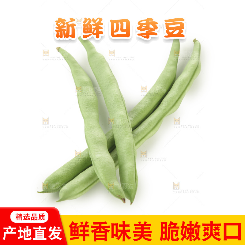 四季豆