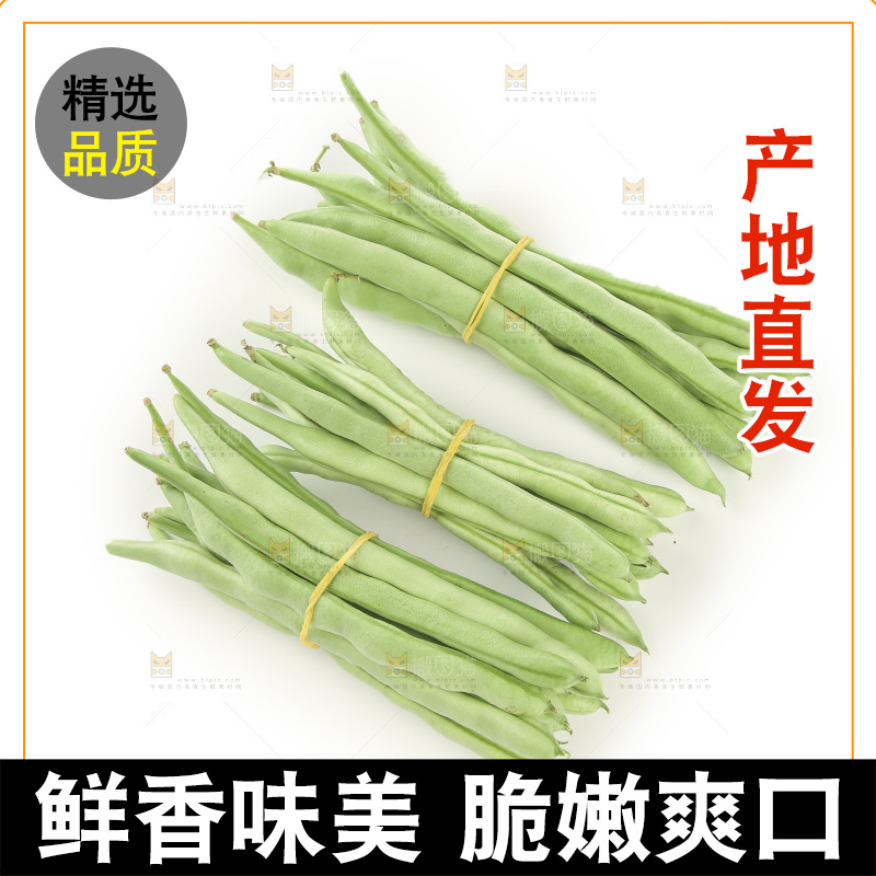 四季豆