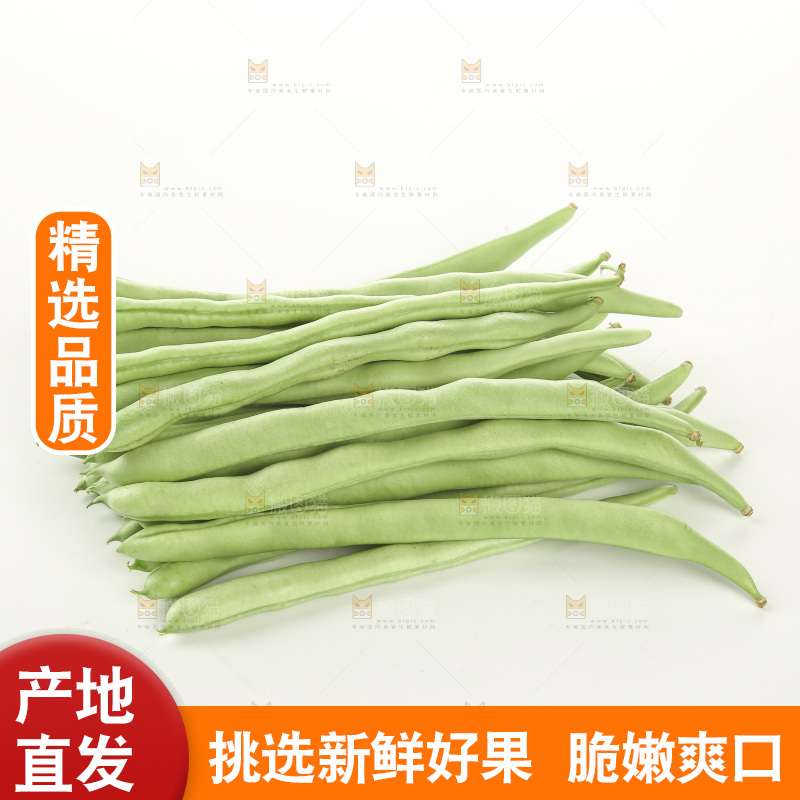 四季豆
