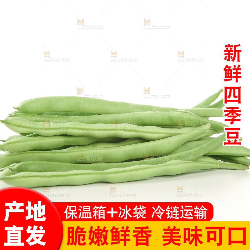 四季豆