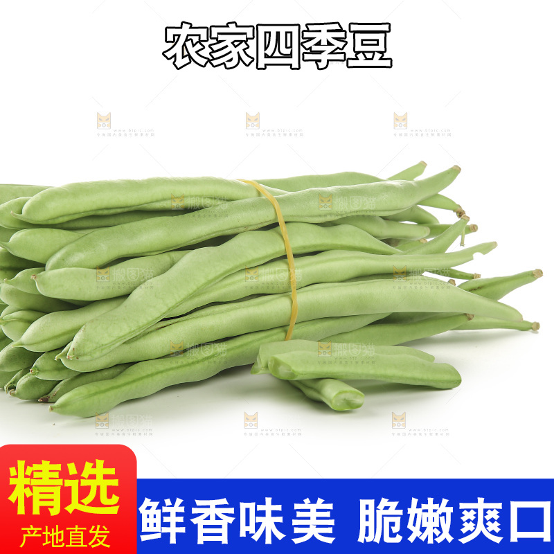 四季豆