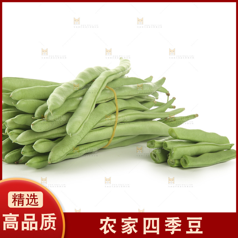 四季豆