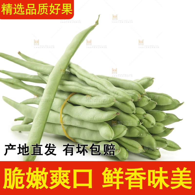 四季豆