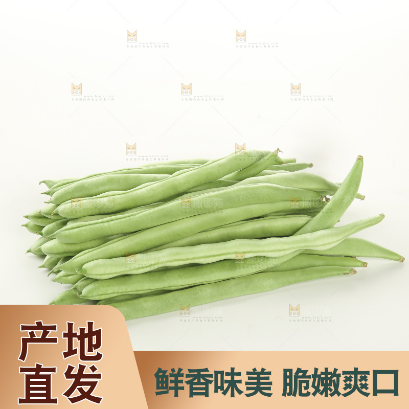 四季豆