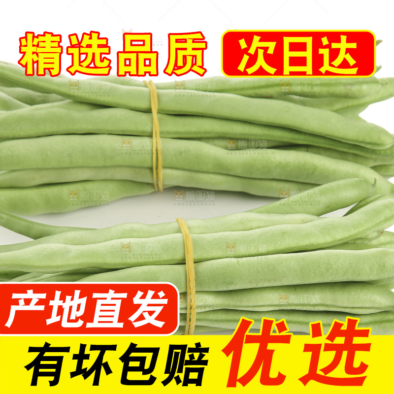 四季豆