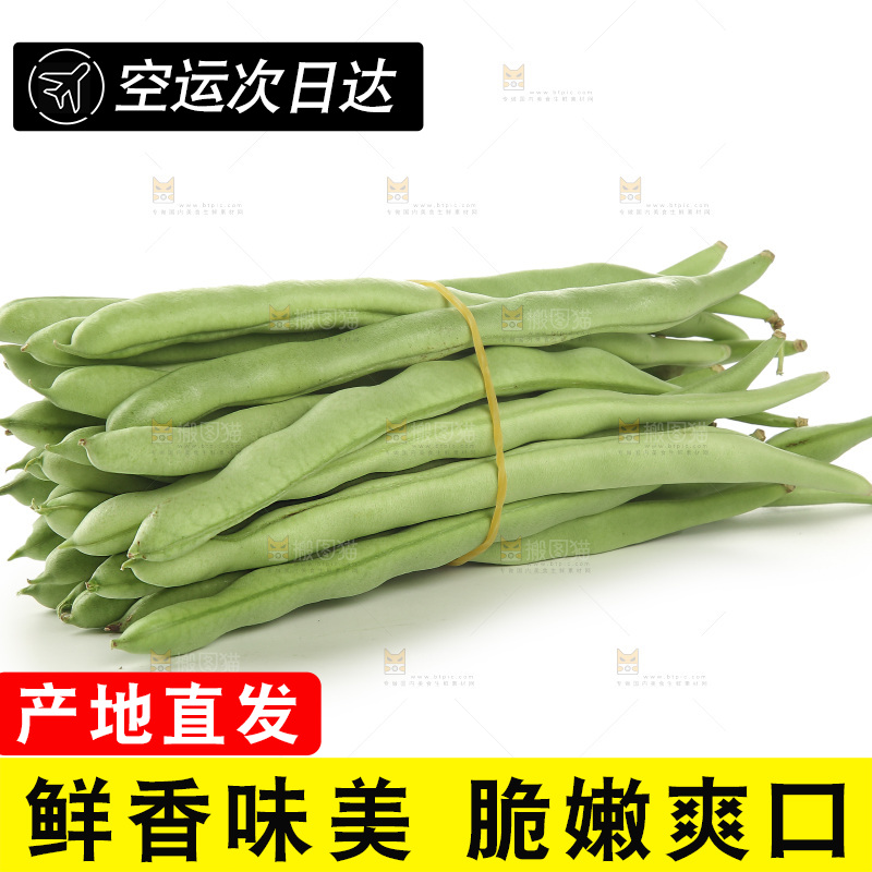 四季豆