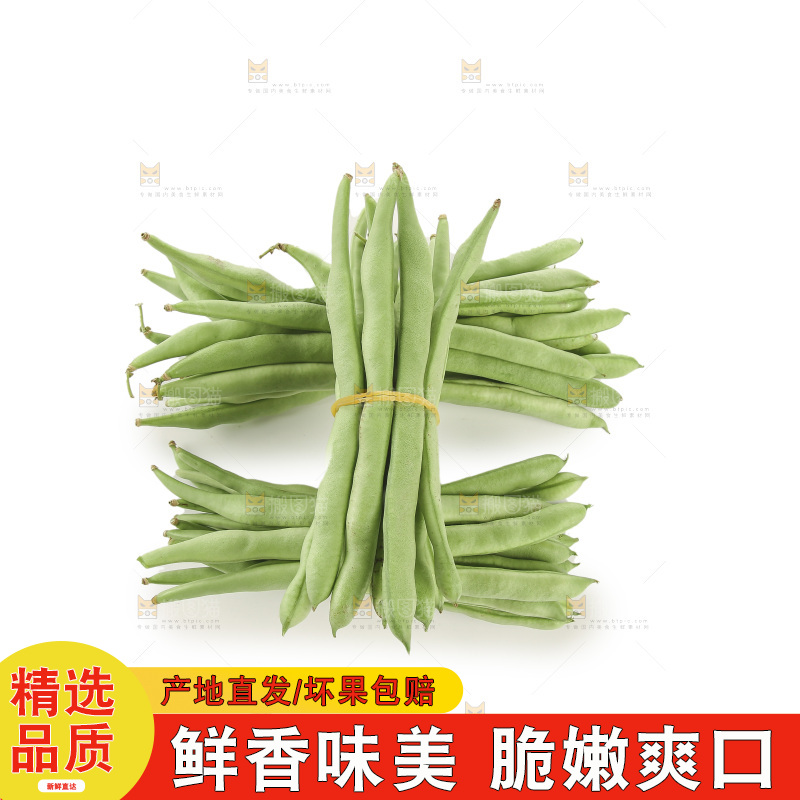 四季豆