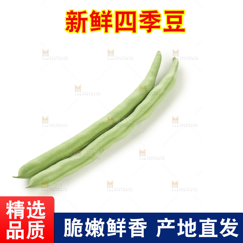 四季豆