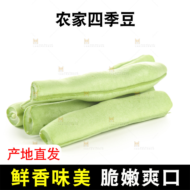 四季豆