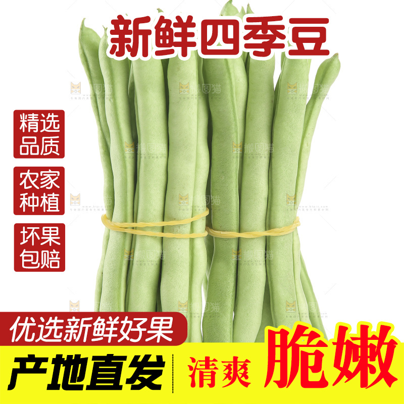 四季豆