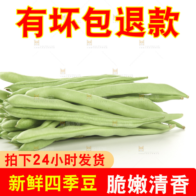 四季豆