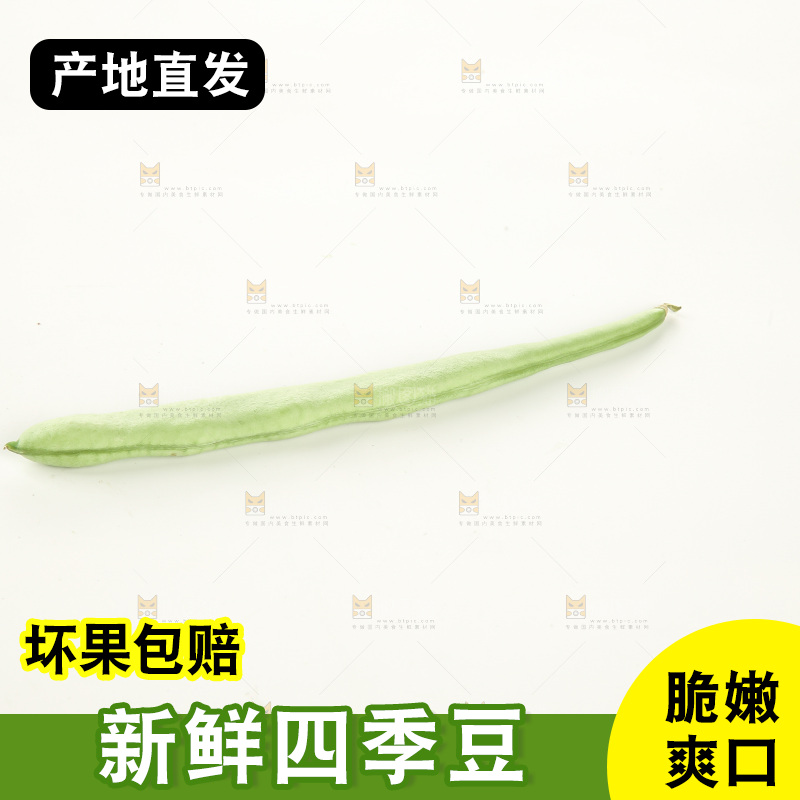 四季豆