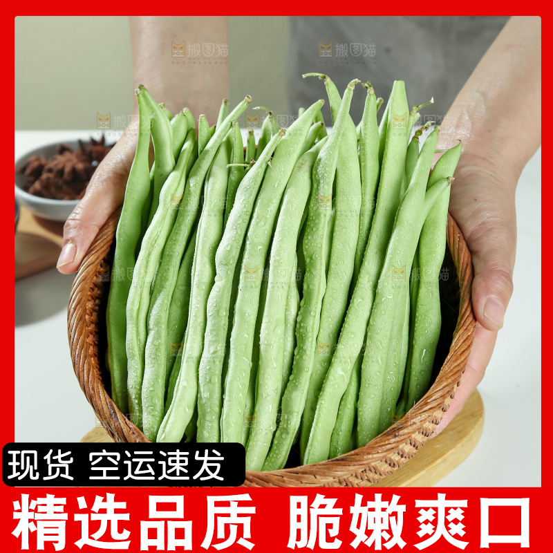 四季豆