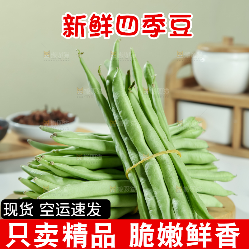 四季豆