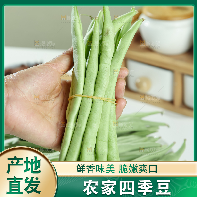 四季豆