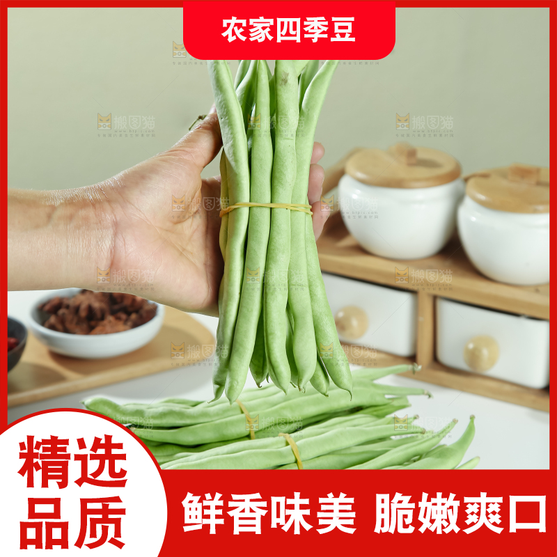 四季豆