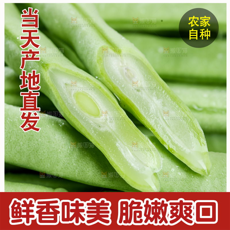 四季豆