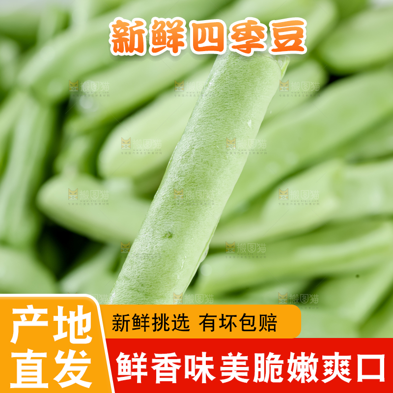 四季豆