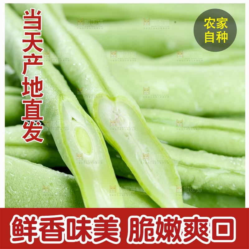 四季豆