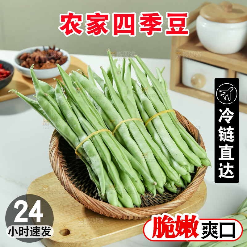 四季豆