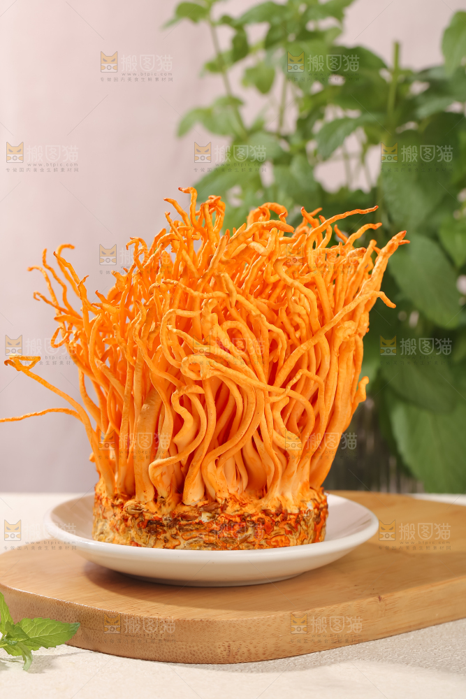 虫草花