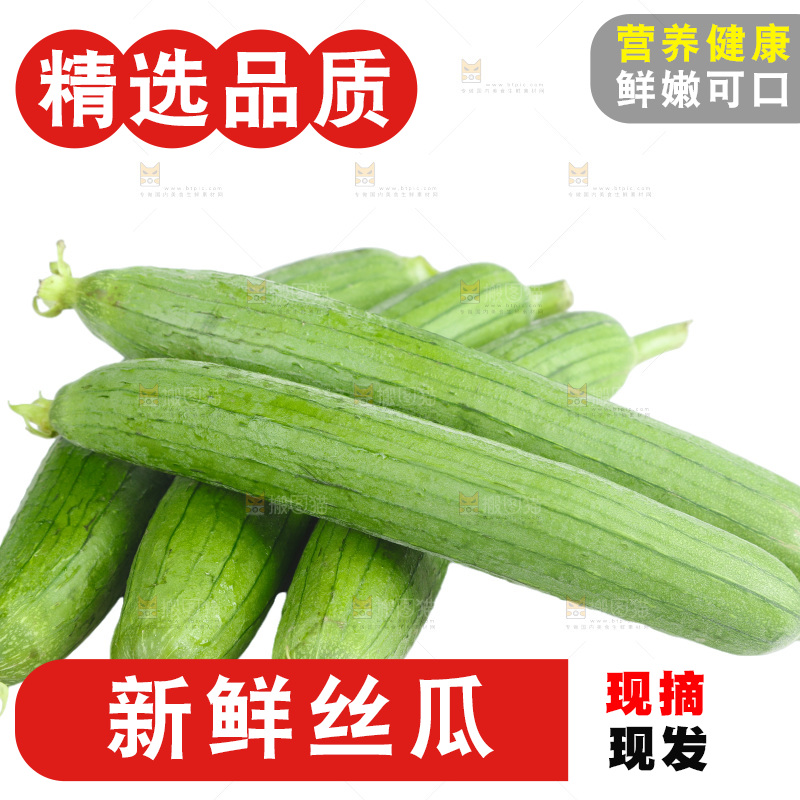 丝瓜