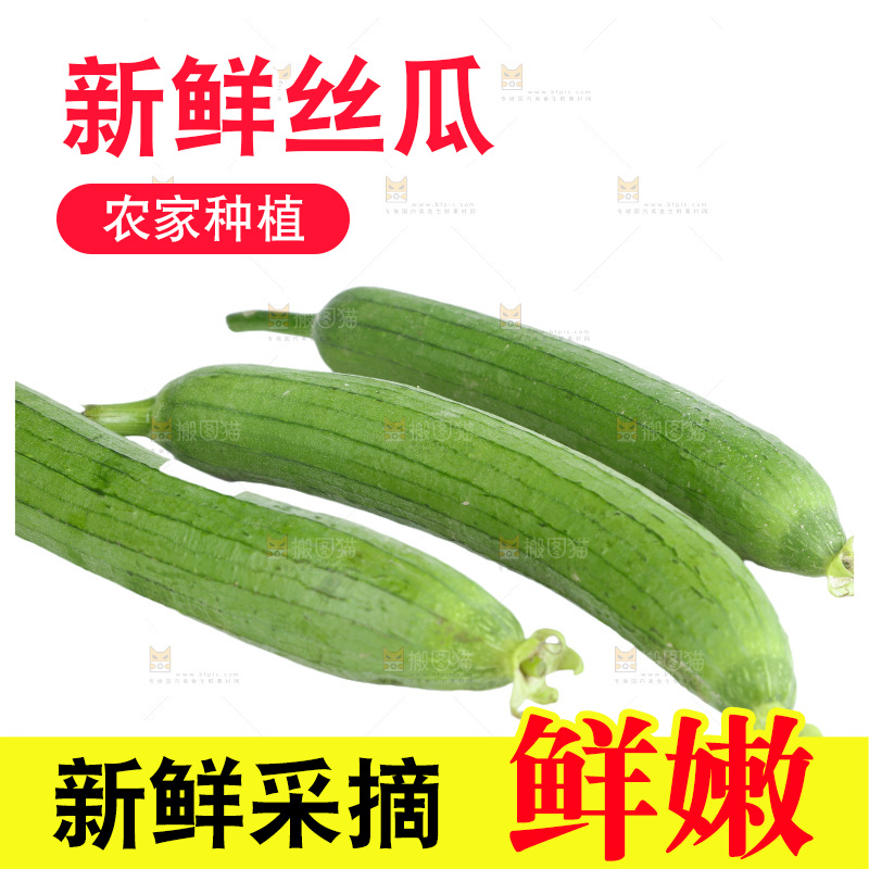 丝瓜
