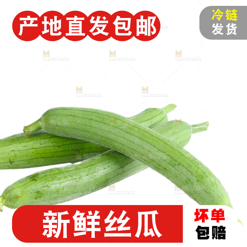 丝瓜