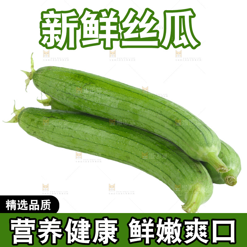 丝瓜