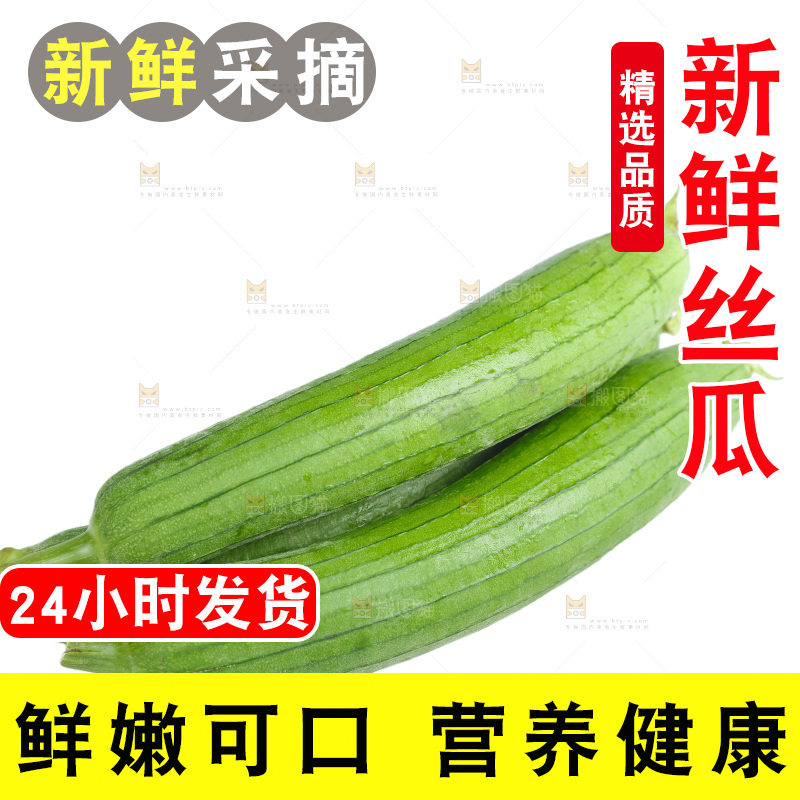 丝瓜