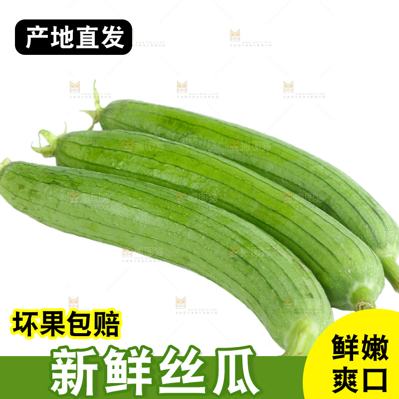 丝瓜