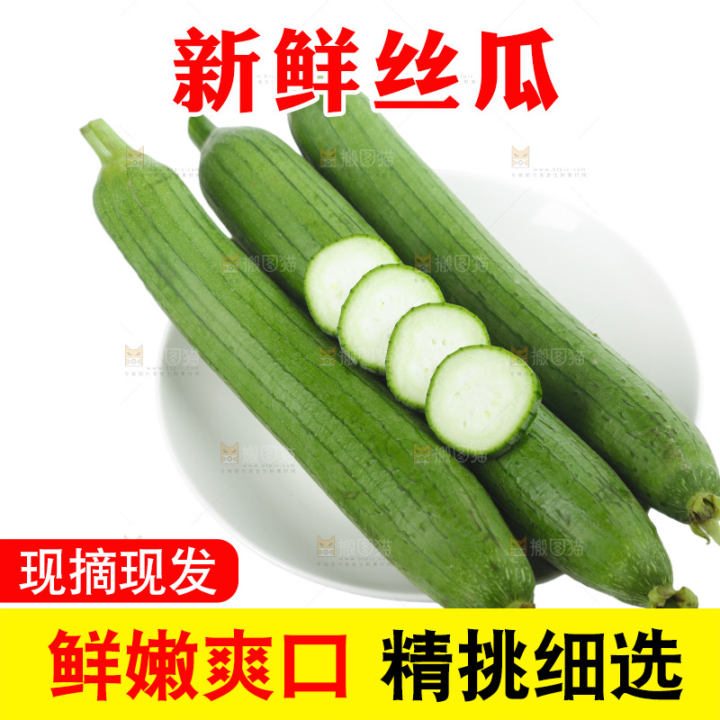 丝瓜