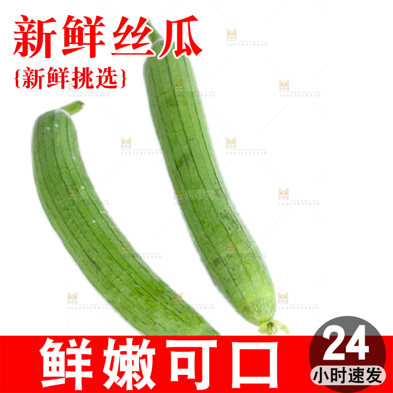 丝瓜