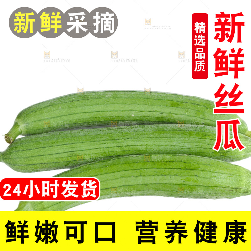 丝瓜