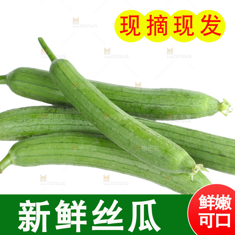 丝瓜