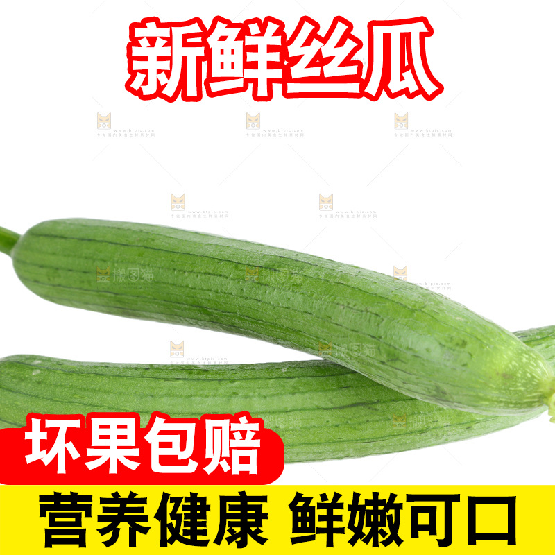 丝瓜