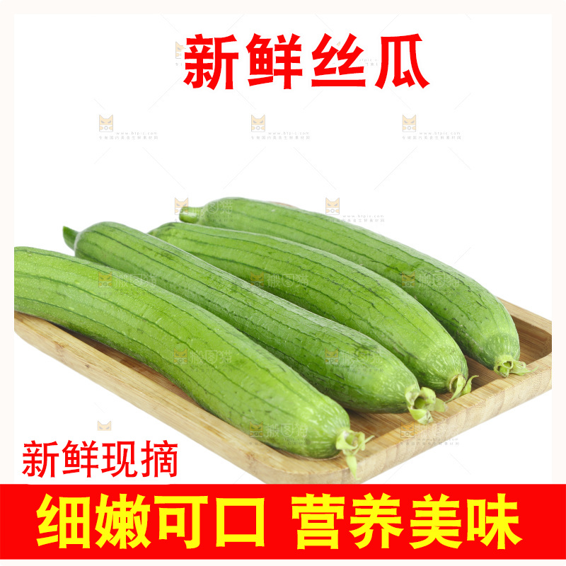 丝瓜