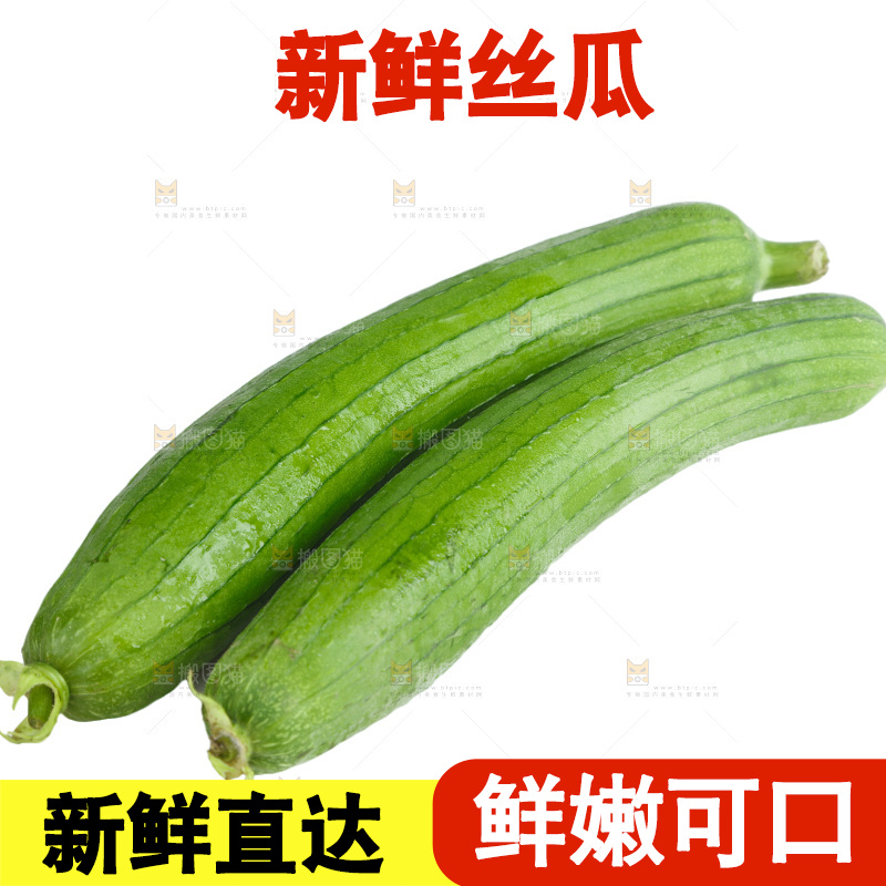 丝瓜