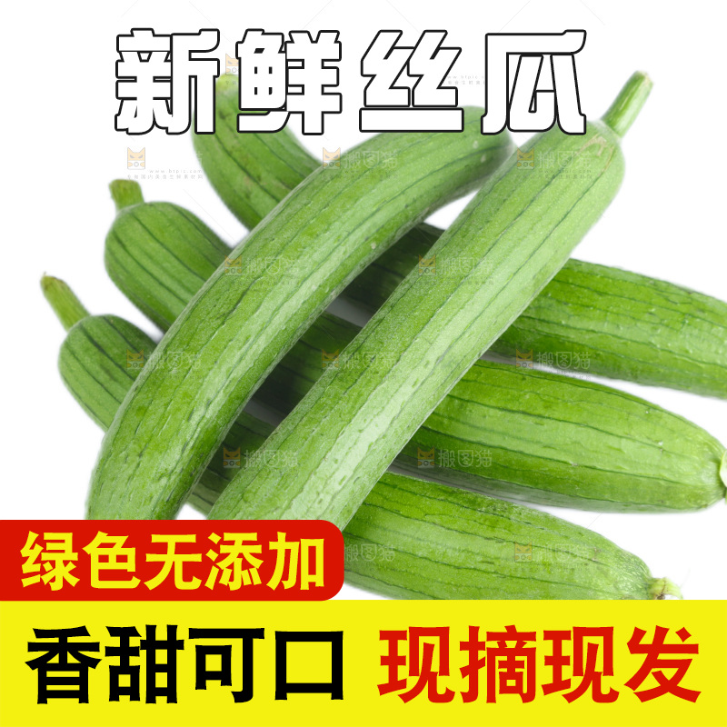 丝瓜