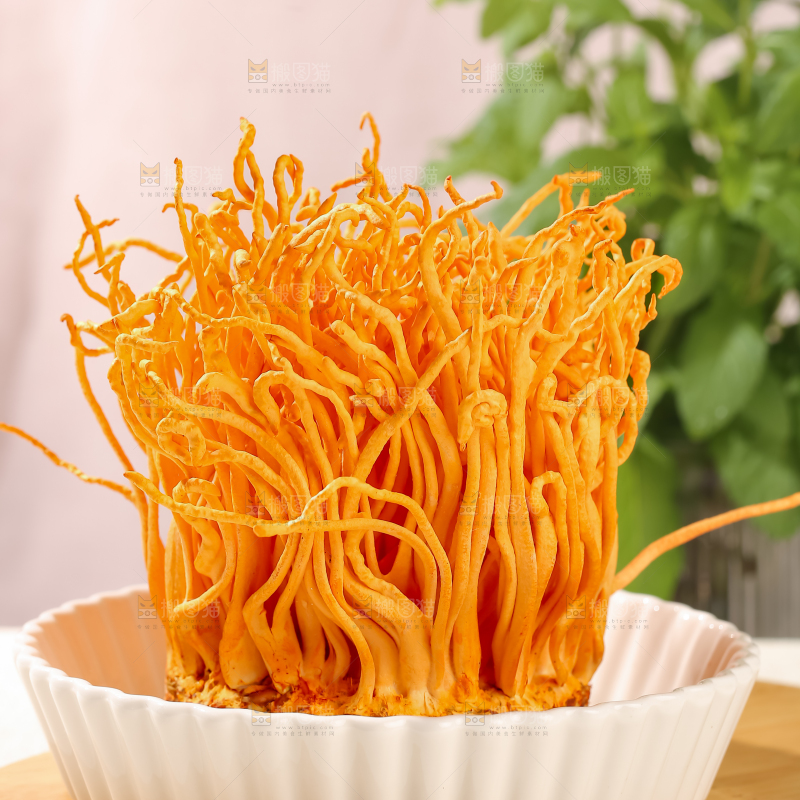 虫草花