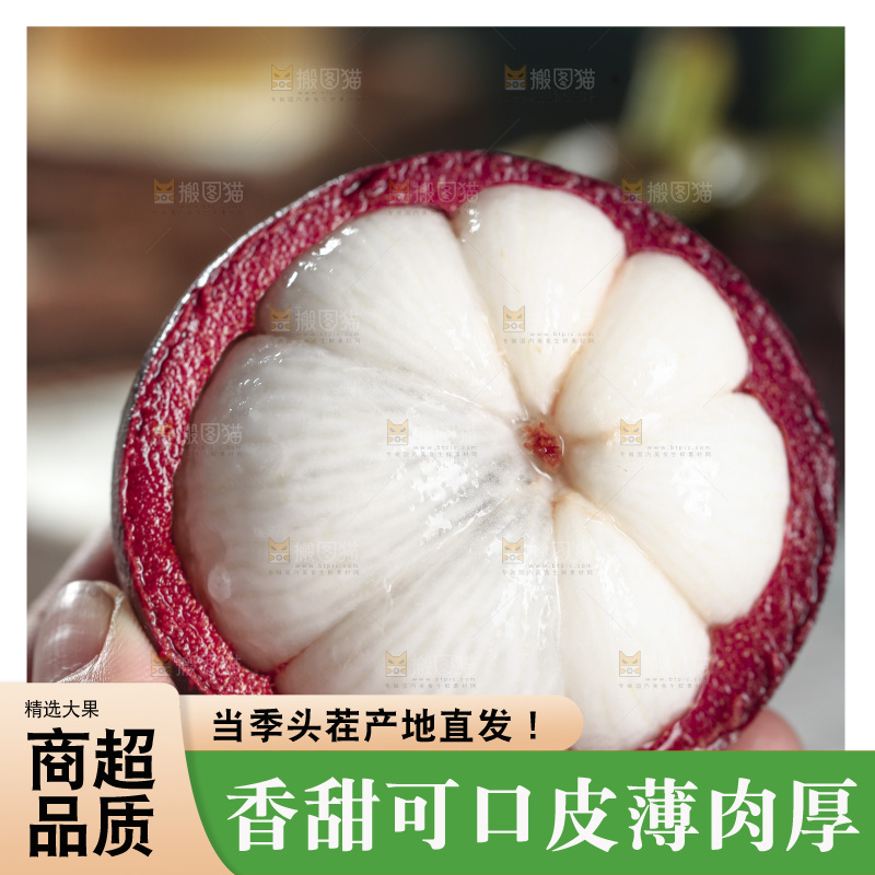 山竹