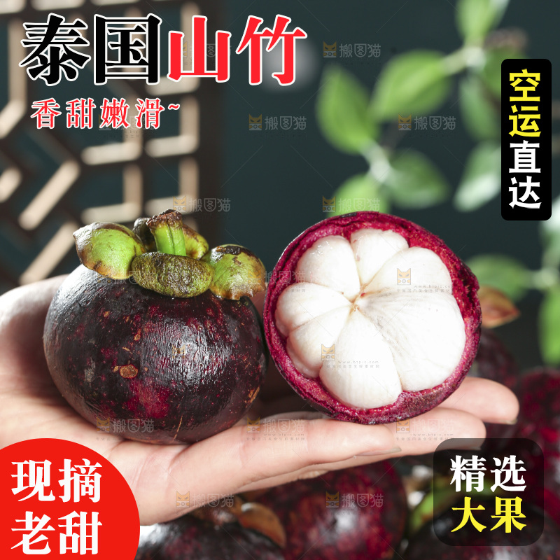 山竹
