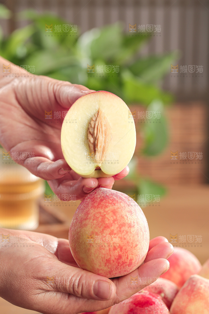 毛桃