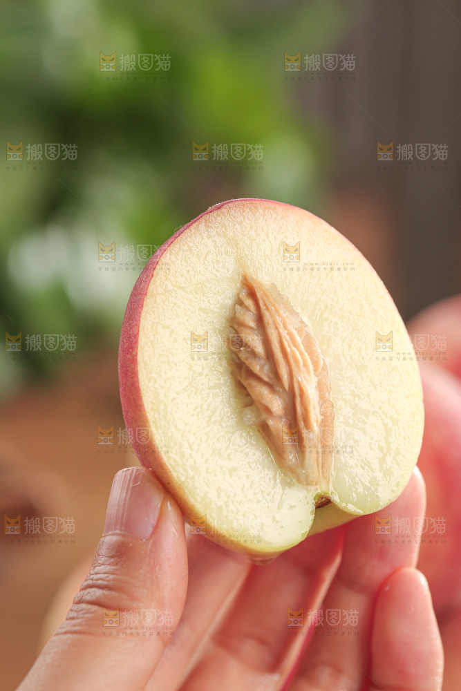 毛桃